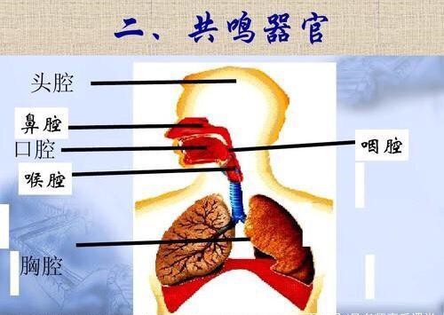 高音技巧咽音,咽音突破高音教程