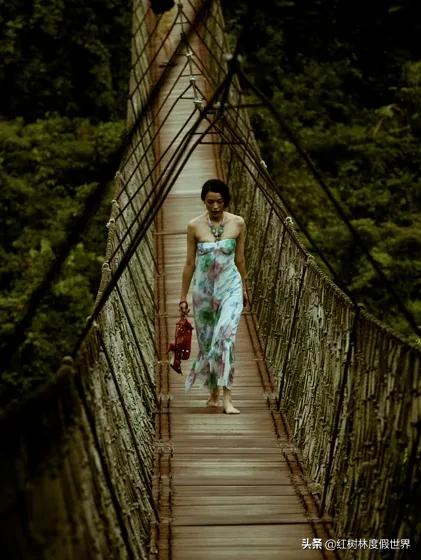 逃离北方的寒冷,逃离北方森林