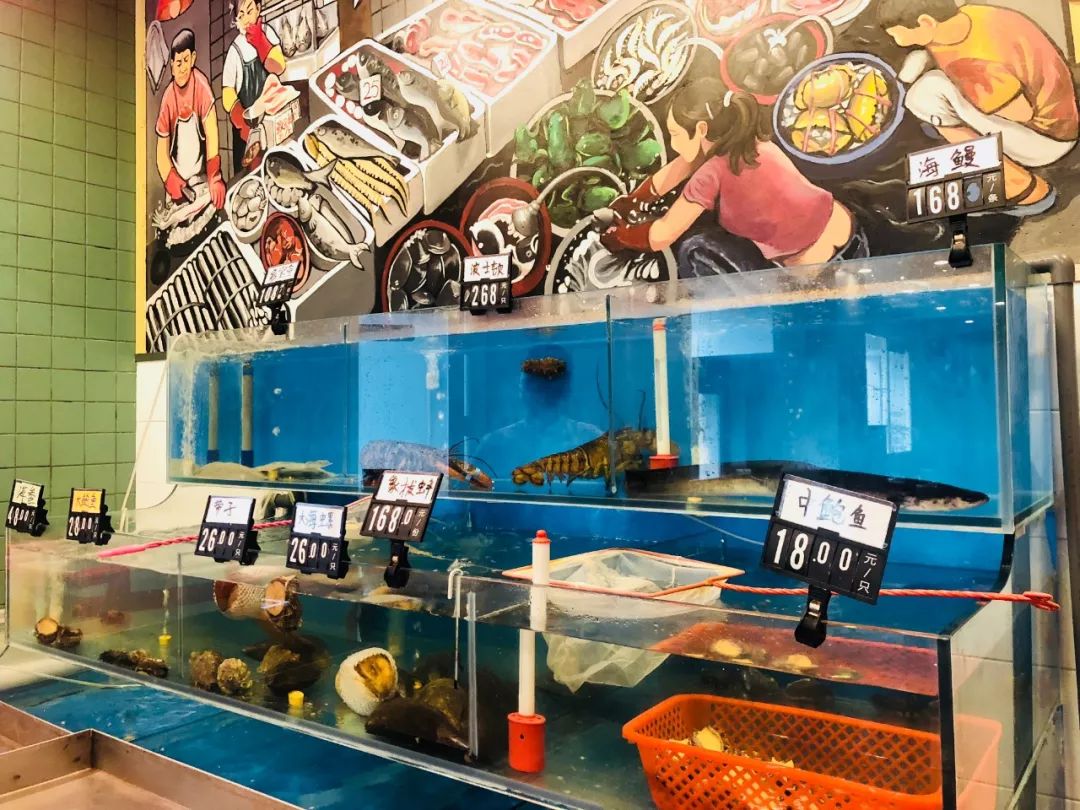 香港帅哥为了爱情来郑州，也带来了香港地道花胶鸡