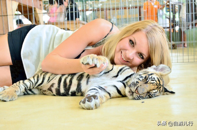 泰国清迈皇宫游玩攻略,泰国清迈旅游景点攻略大全