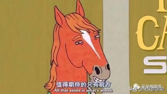 深圳单身女孩买房,深圳女孩买房经历