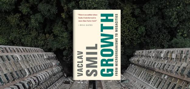 如何成为聪明投资者,比尔盖茨的投资经验