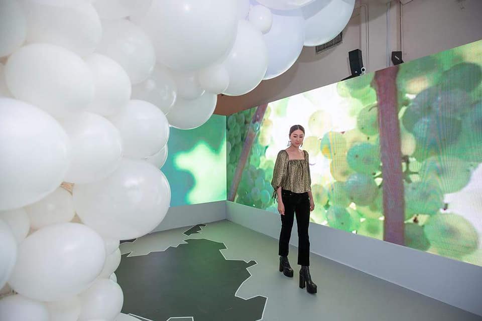 胡定欣沈柏淳,胡定欣有几个男朋友