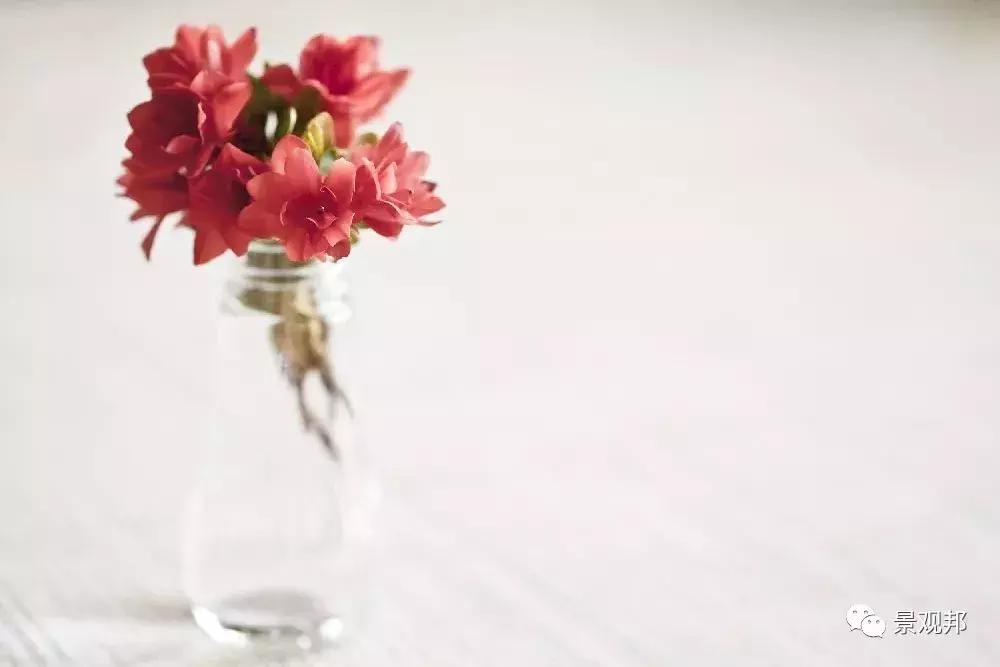 妞嶇墿椋庢按鐭ヨ瘑瑙嗛,妞嶇墿椋庢按涔︾睄