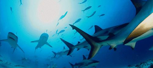 全场好货价格实惠,全场低价好物买一送一