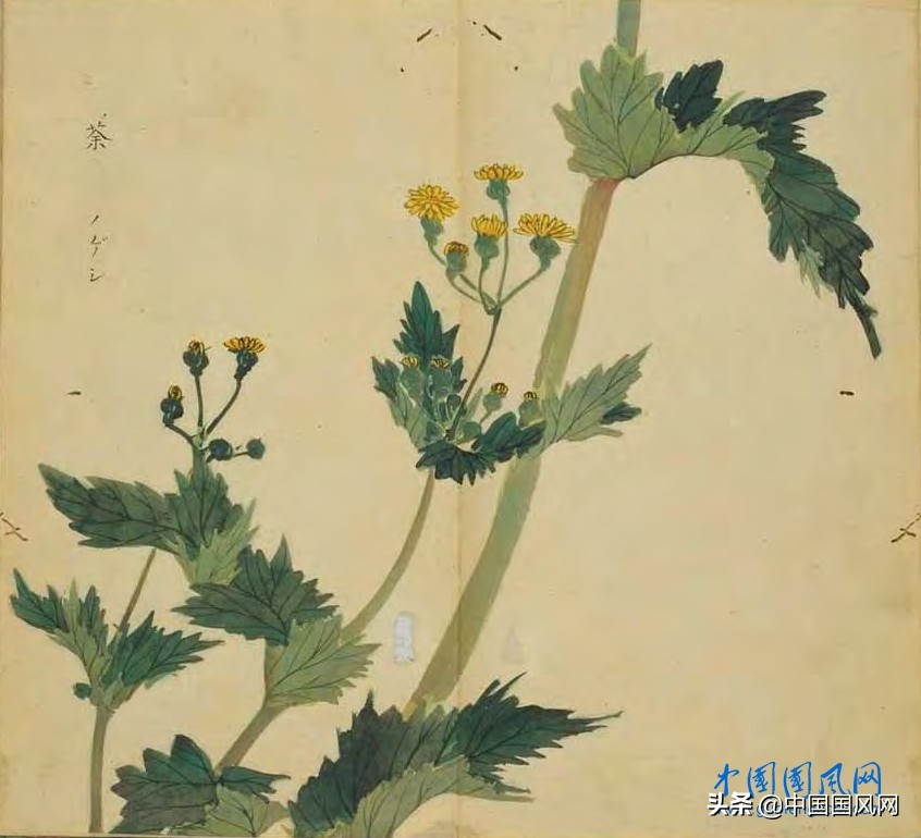 璇楃粡璁插爞,璇楃粡瑙嗛鍥藉璁插爞