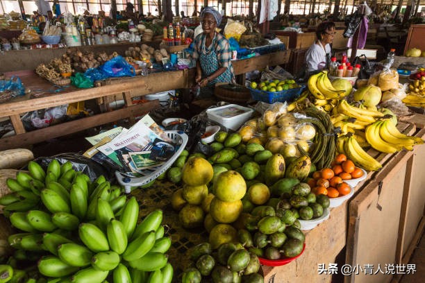 苏里南是荷兰的殖民地吗,南美洲的官方语言是什么
