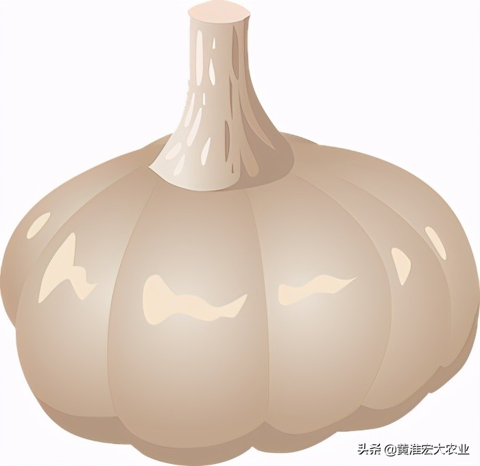 炒作大蒜是不是风险很大,炒作大蒜被判刑