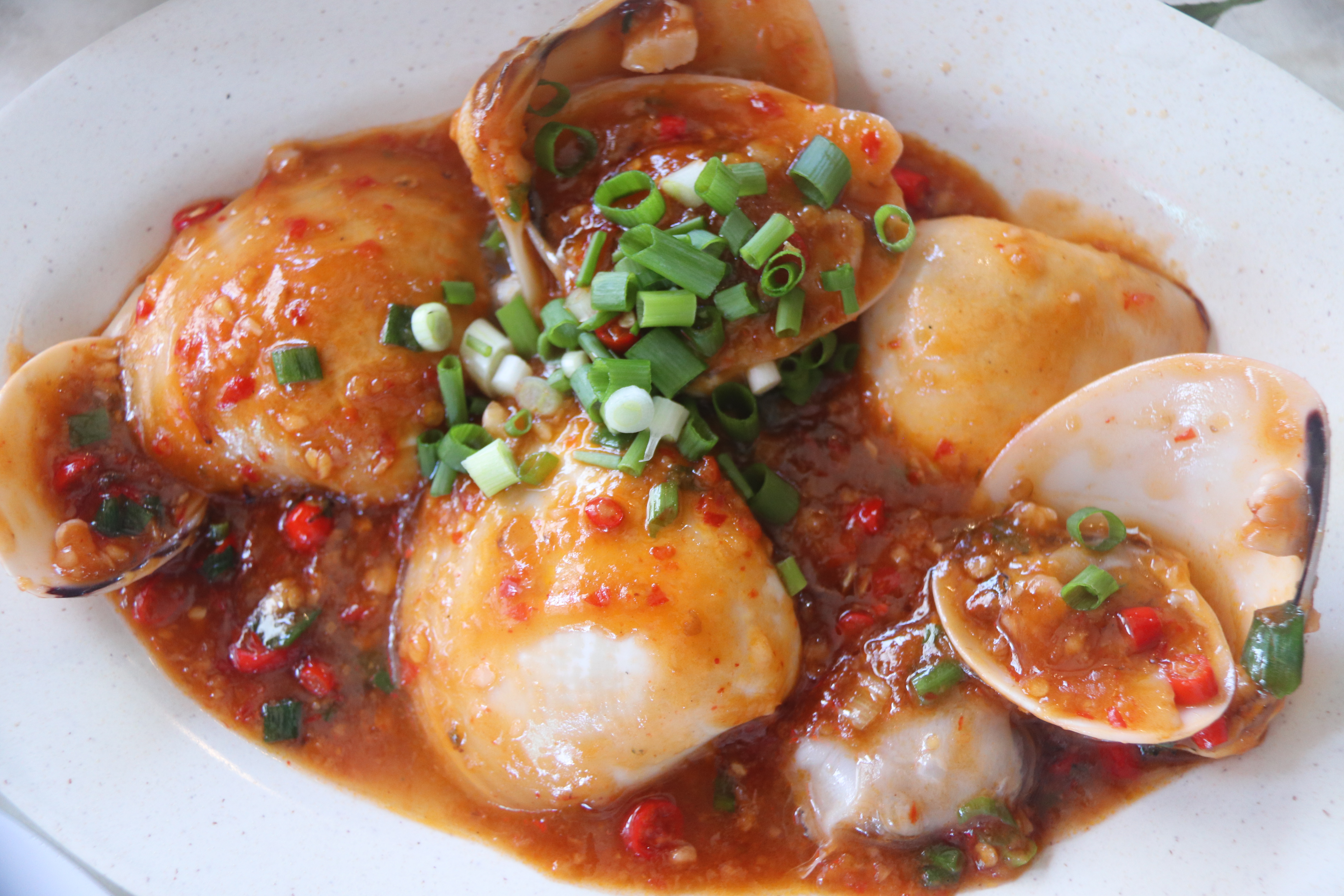 2018马来西亚之旅留影,2019回眸