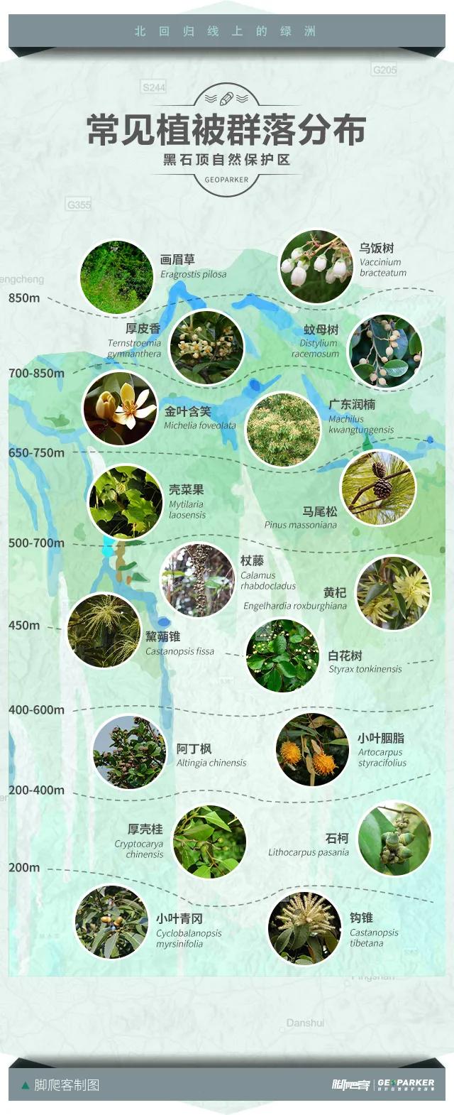 封开县黑石顶原始森林保护区,广东封开黑石顶北回归线上的绿洲