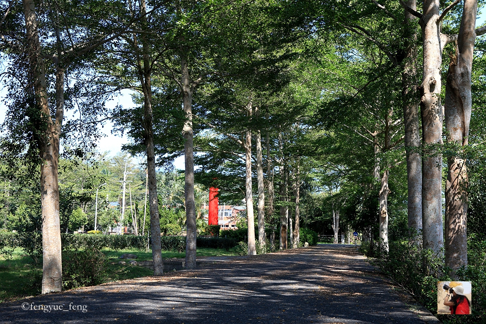 花东纵谷面积,花东纵谷什么意思