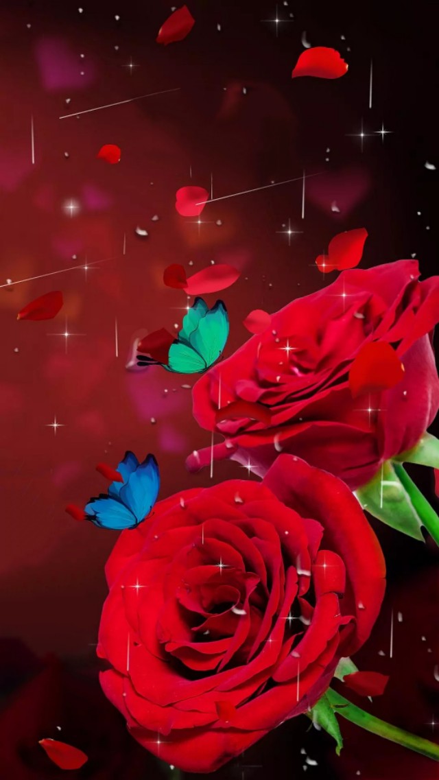 漂亮的花朵壁纸图片大全高清,漂亮的山野花朵图片竖屏壁纸