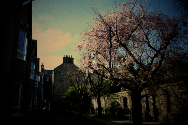 世界名校之剑桥大学,世界名校简介