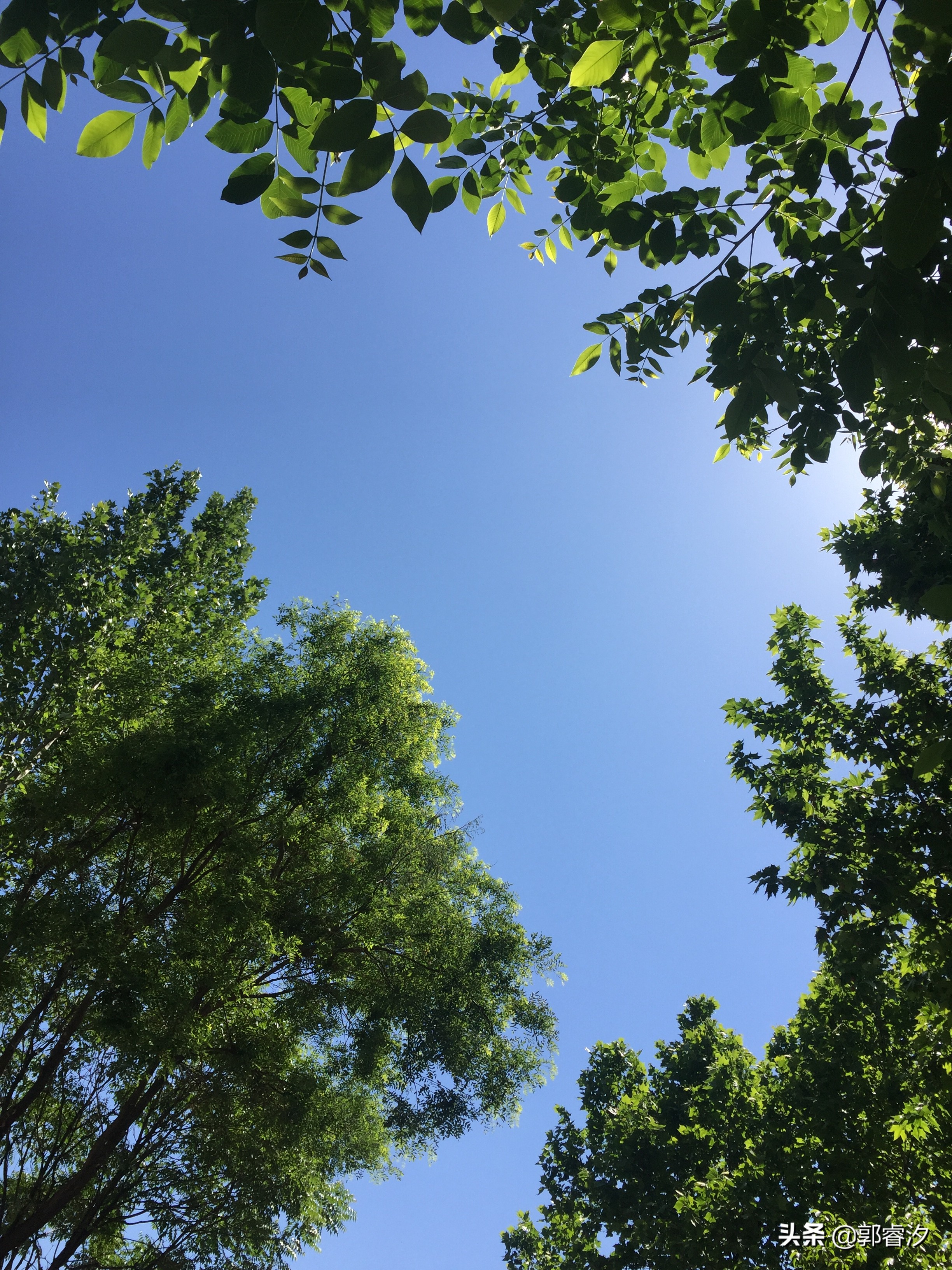 中国医疗器械行业前景分析,医疗器械行业可以怎么发展