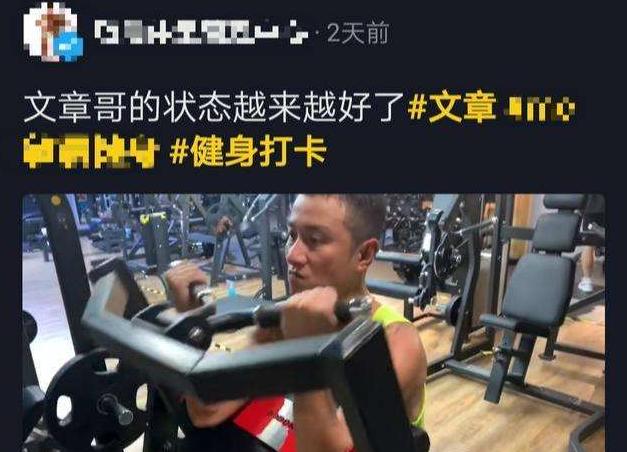 文章姚笛被拍视频,文章被拍到的照片