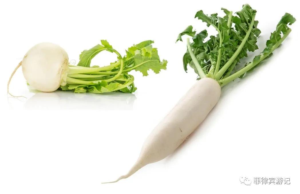 菲律宾青菜价格表,菲律宾蔬菜为什么那么贵