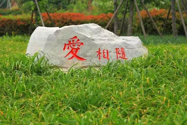 5.17遇见Ta在一起|这里有个不一样的脱单机会,速来~