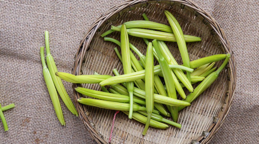 产后下奶的最佳食物,产后补气血下奶食谱