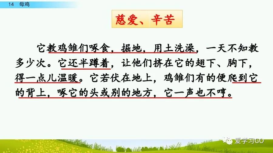 四年级下册语文母鸡课文重点讲解,四年级下册语文14课母鸡重点知识