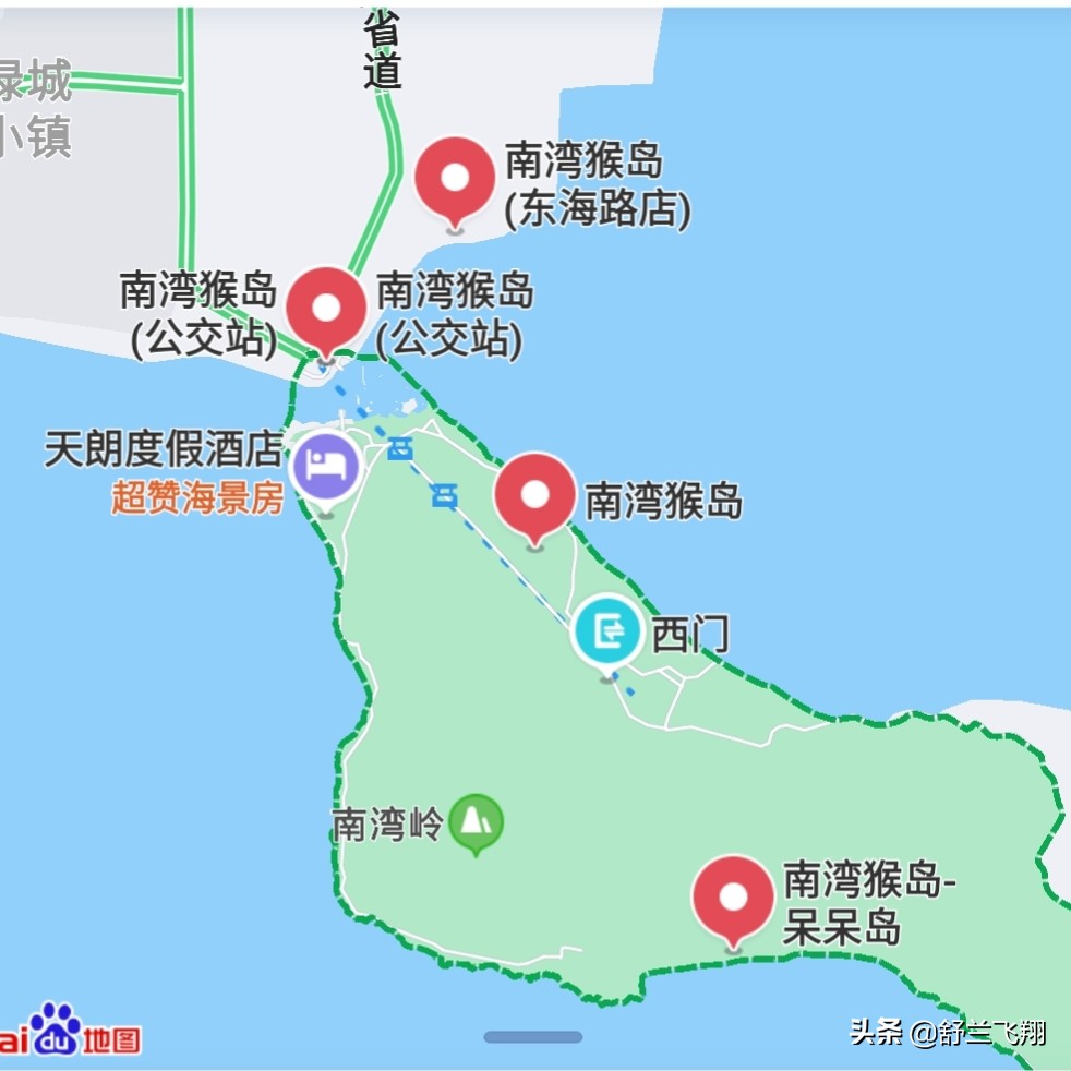 海南南湾猴岛上的猴子,海南著名的南湾猴岛在哪里