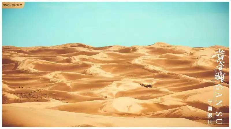 品味十级的《黄金瞳》,我先“盘”为敬!