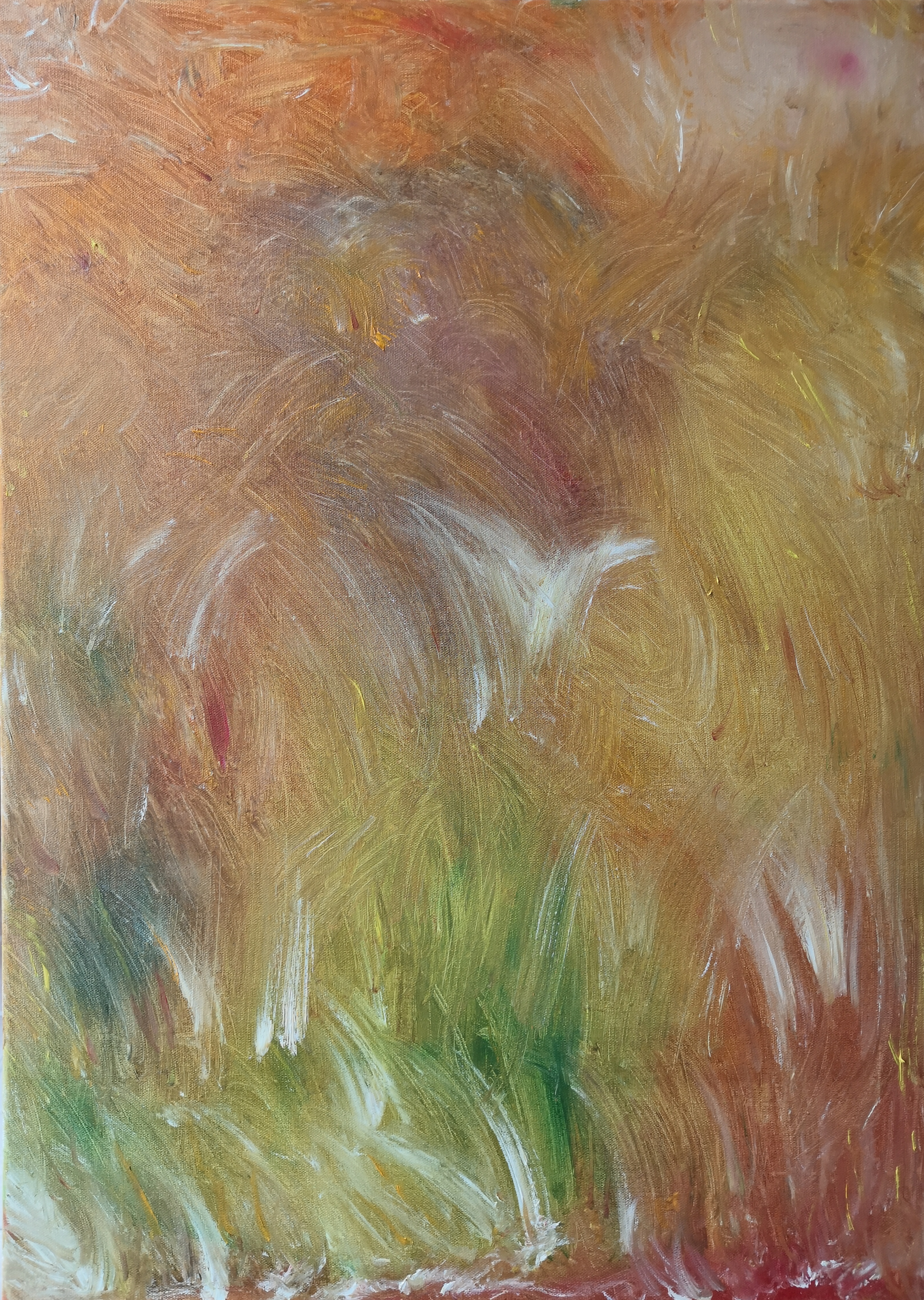 有关于空间维度的总结,1分钟了解空间维度