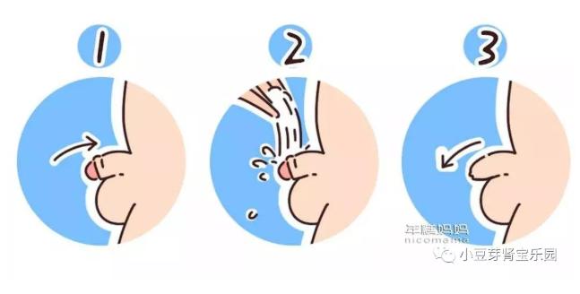 小朋友如何补肾,小孩从小尿多吃什么调理最好