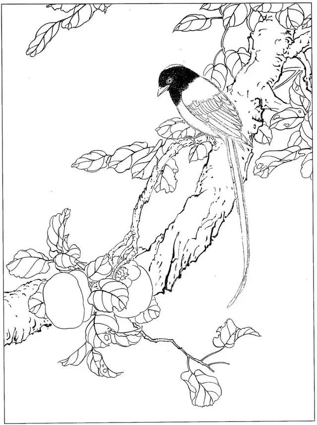 工笔花鸟白描步骤图,牡丹六尺横幅白描工笔花鸟底稿