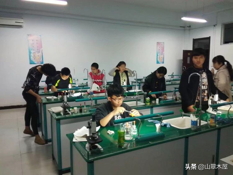 洛阳市欧亚国际学院,洛阳欧亚国际学校靠谱吗