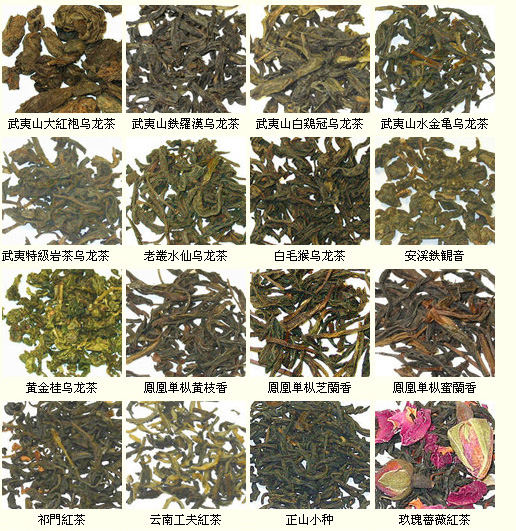 各种名茶样品,各种名茶及图片
