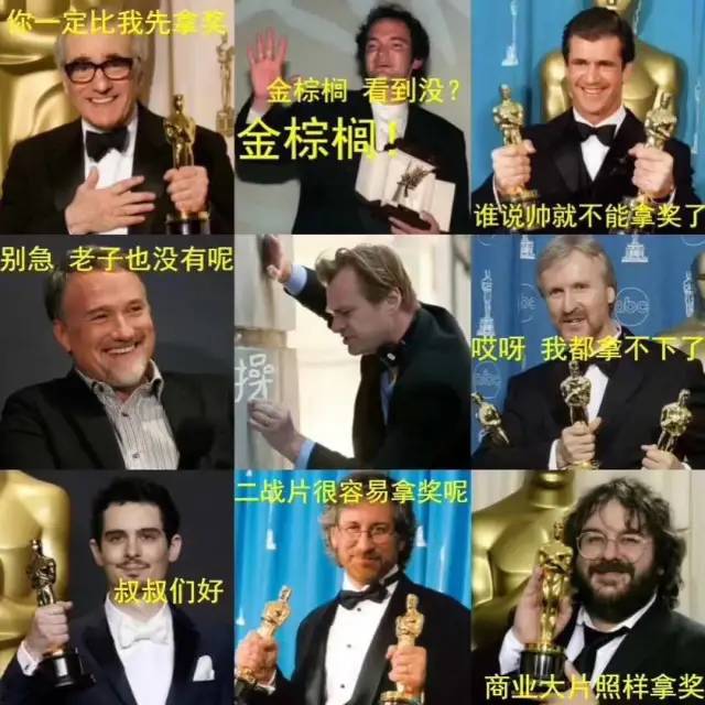 李安王家卫奖项,李安导演的经典作品评分排名