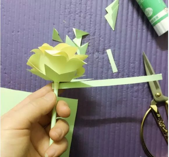 有颜色的玫瑰是怎么做出来的,白玫瑰怎么做七彩玫瑰