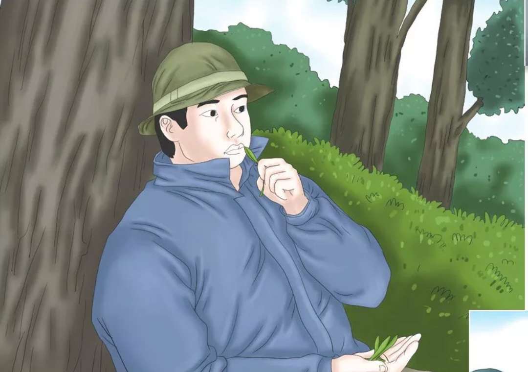 野外救急食物,野外救命技巧和方法