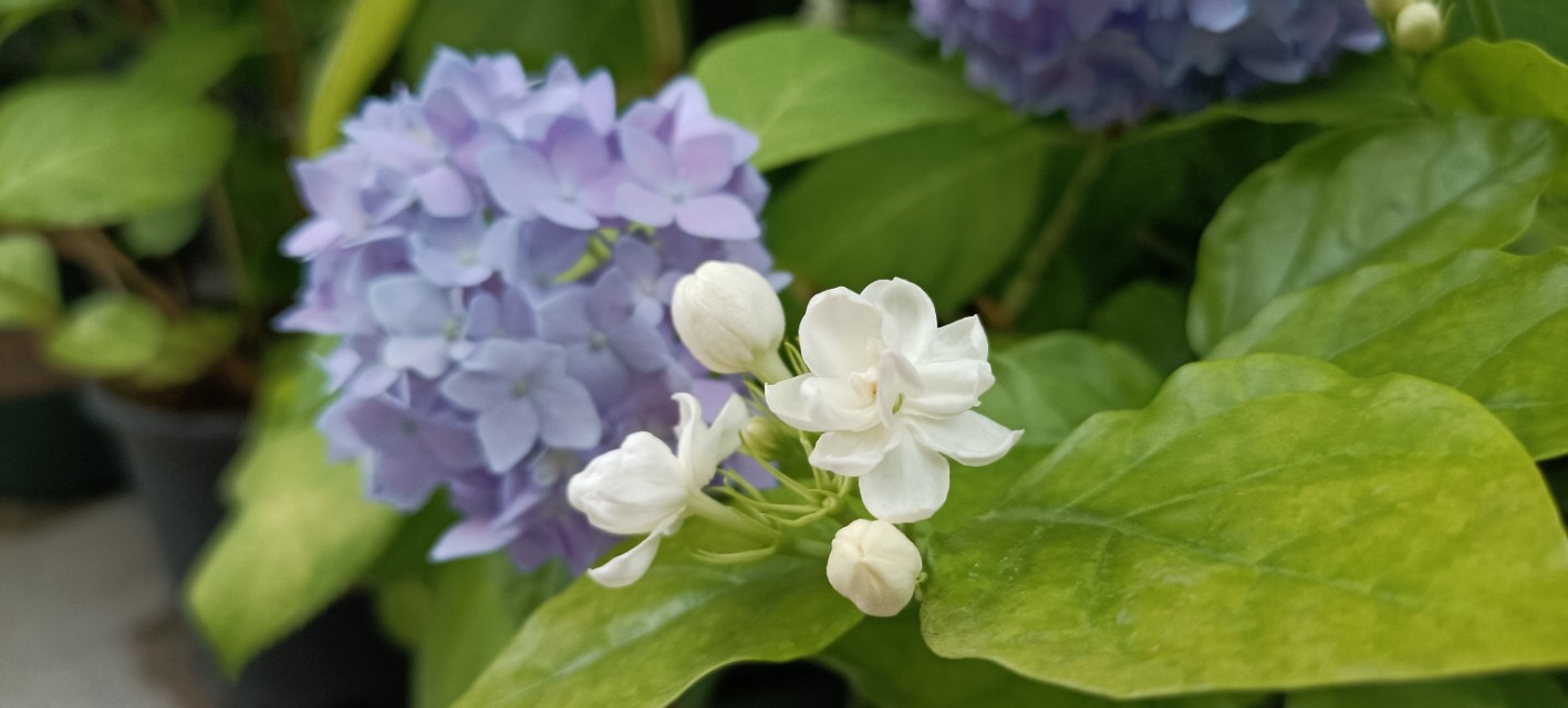 生活，因为喜欢肖战而不同