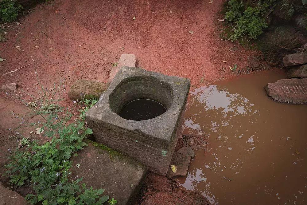 渝北枇杷正黄，冒冒失失穿越铁壁、胜保、斗碗三寨