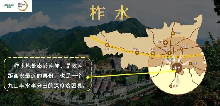 柞水木耳炒腊肉,卖疯了的零食