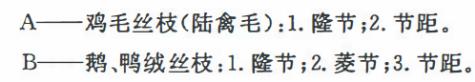 鸭羽绒好还是鹅绒衣服好,鸭毛绒和鹅绒的区别