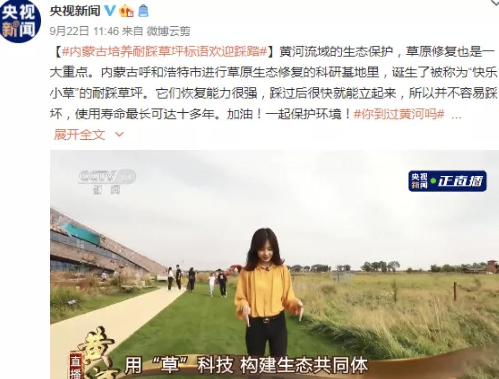 看央视节目,看央视