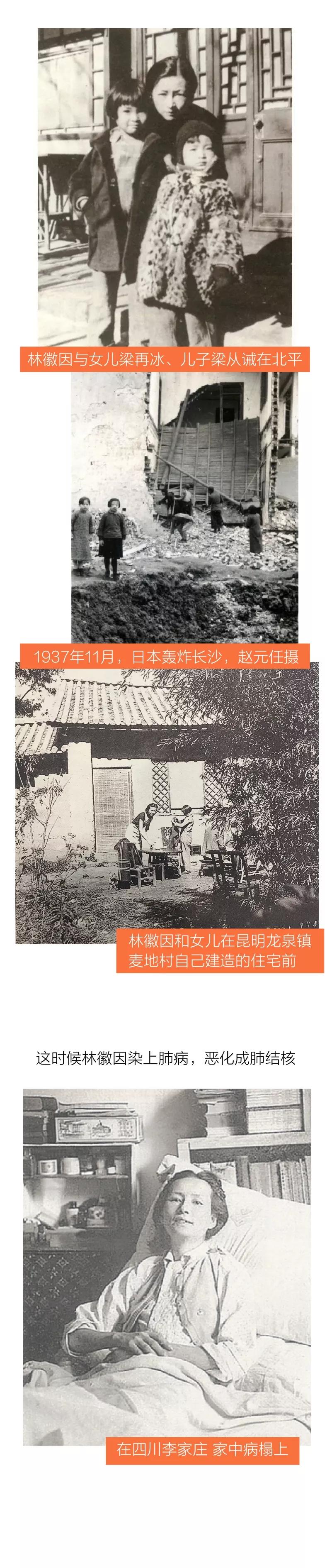 建筑系毕业的女生,建筑系的现状