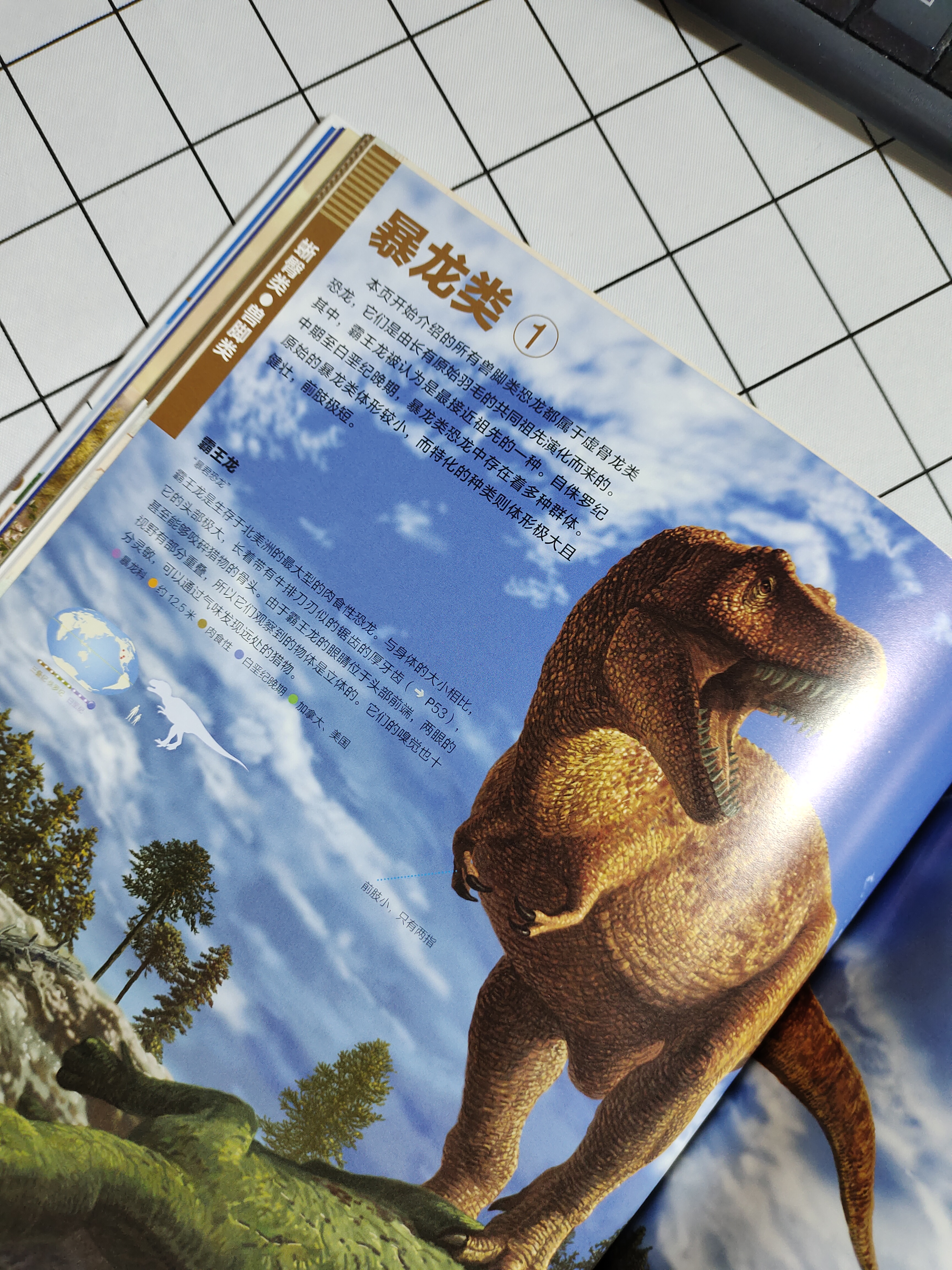 世界上知识点最全的恐龙百科全书,恐龙百科全书恐龙世界的无穷奥秘