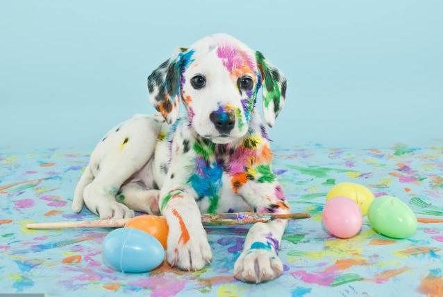 零基础学ps美工多久可以学会,美工薪资高不高