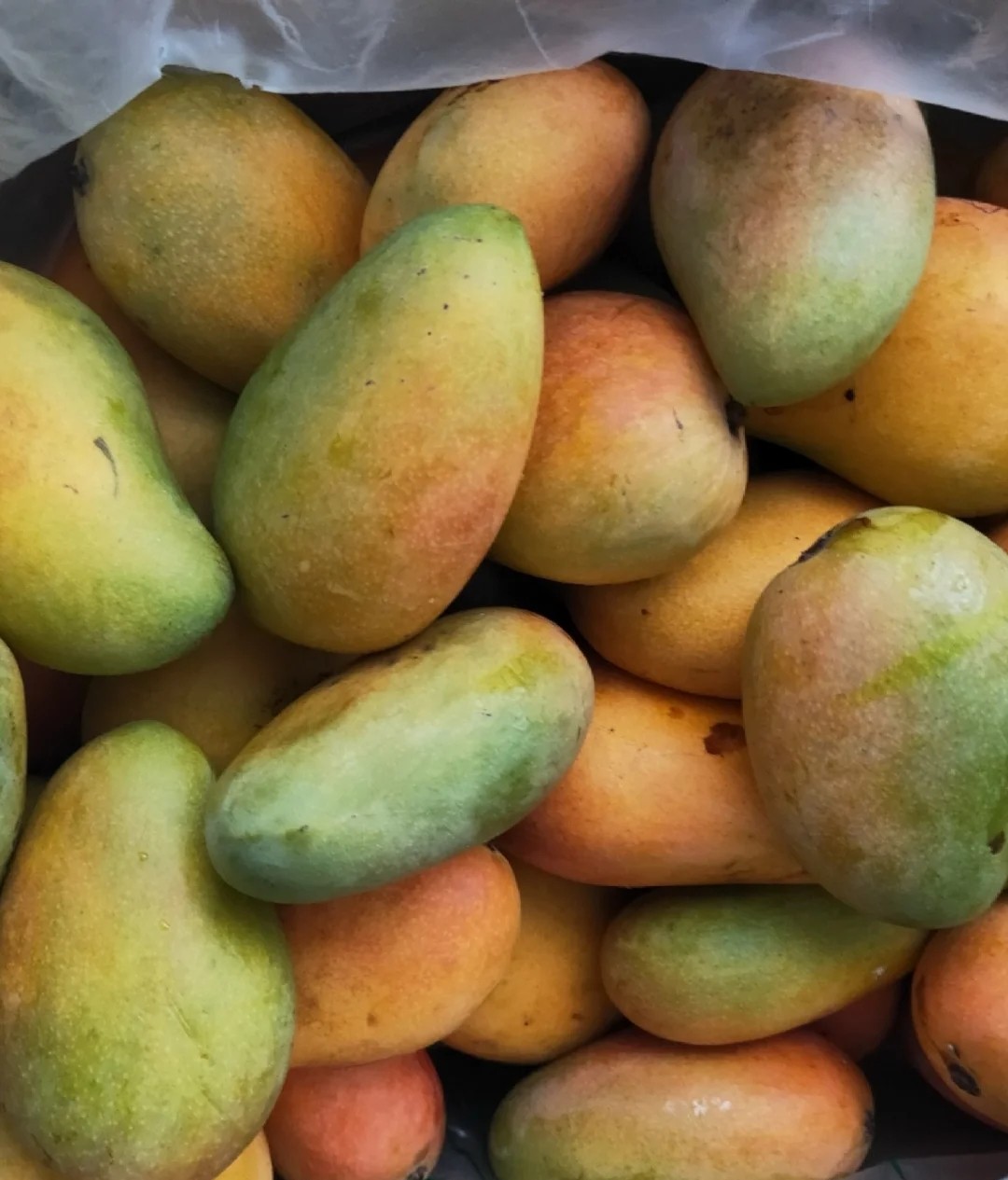 芒果简单又不脏手的吃法,芒果控看过来满满果肉的芒果甜品