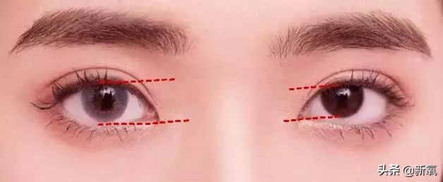 sunshine组合成员现状,sunshine组合重组