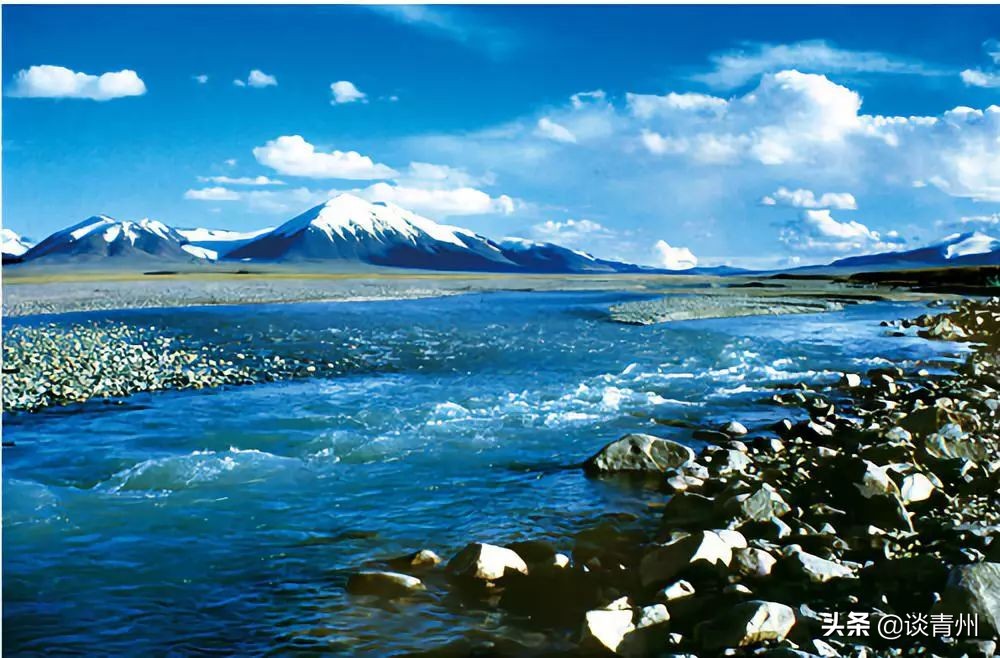 2019最后一个月，山东也太有戏了吧！这些爆款剧演，真怕你错过