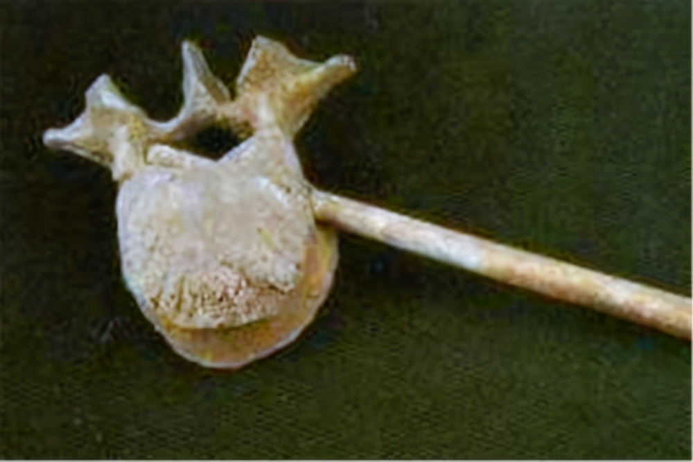 零口姑娘考古视频,零口姑娘全部视频