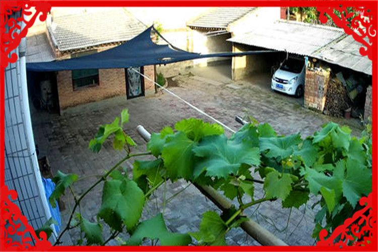 在农村做什么小生意可以月入过万,目前在农村两三万能做什么小生意