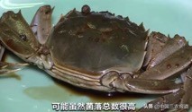 死螃蟹吃了真的会中毒吗,吃隔夜蟹的中毒症状