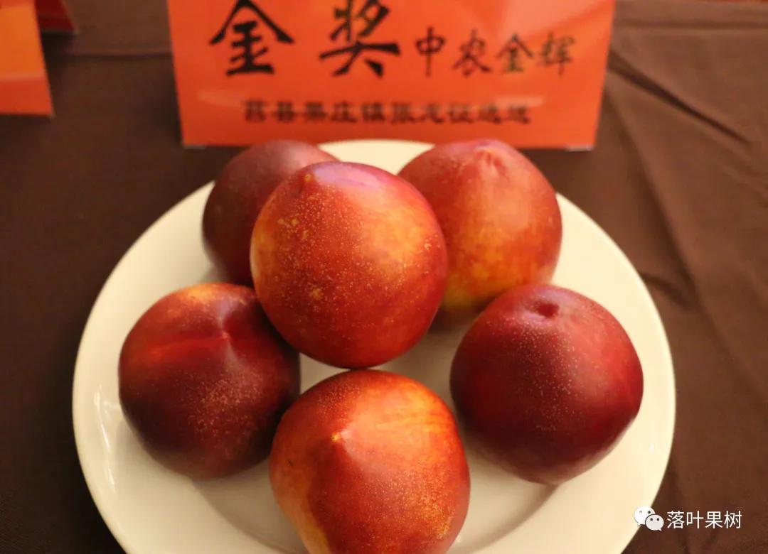 中国桃产业转型升级,桃产业转型升级的思考