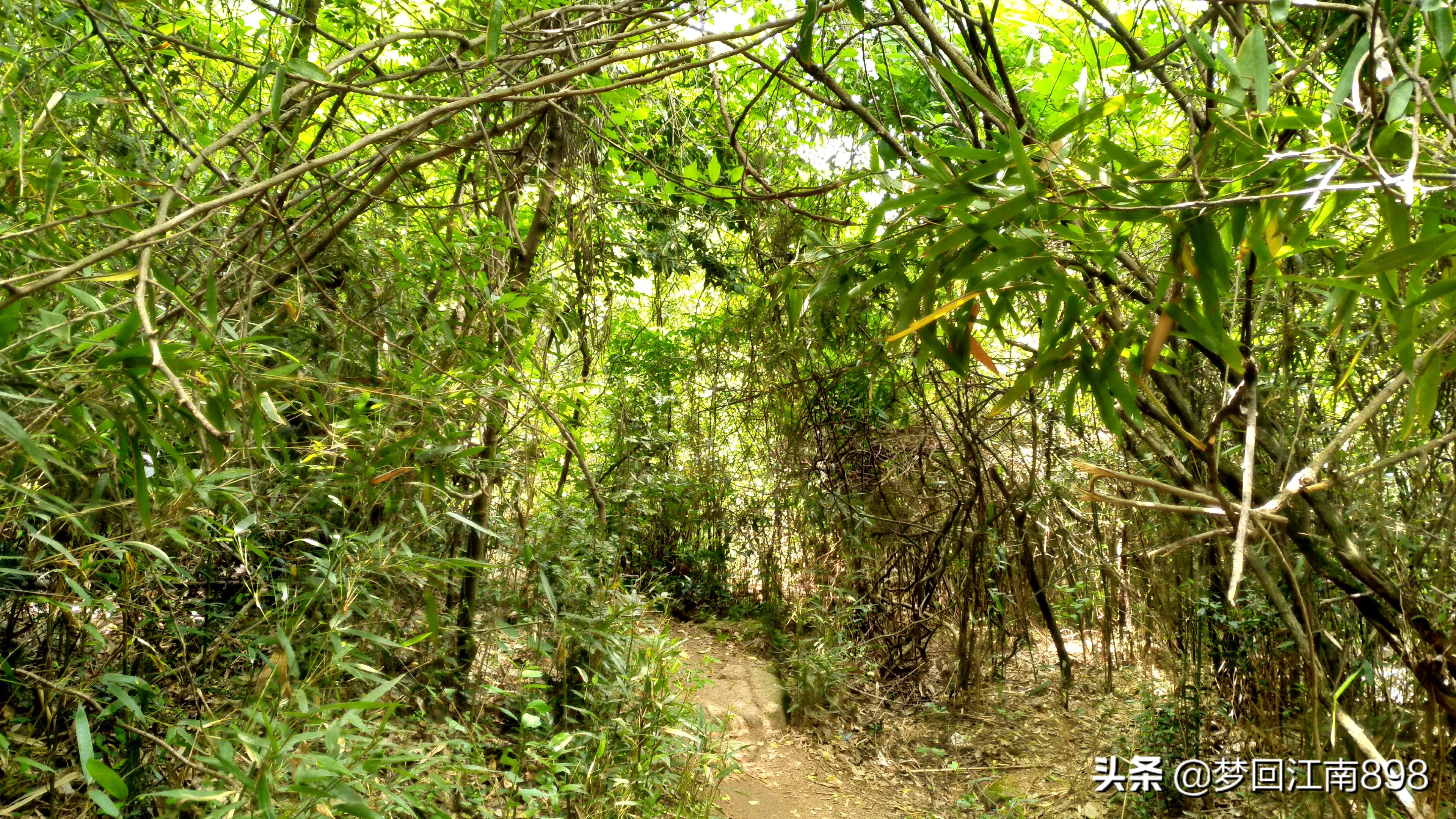 苏州天池山鱼骨线徒步路线图,苏州灵白线徒步需要门票吗