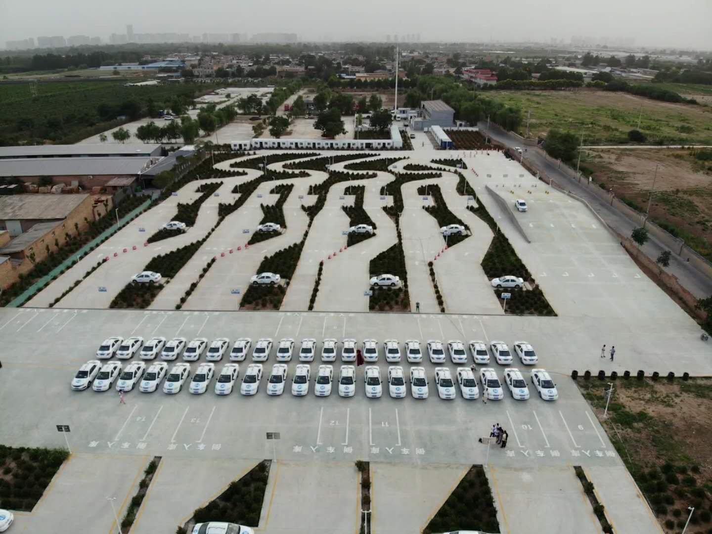 你知道驾照是怎么考出来的吗？田萍为你指点几招一次过！